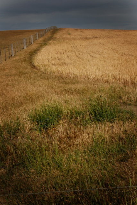 Commercial_004.JPG