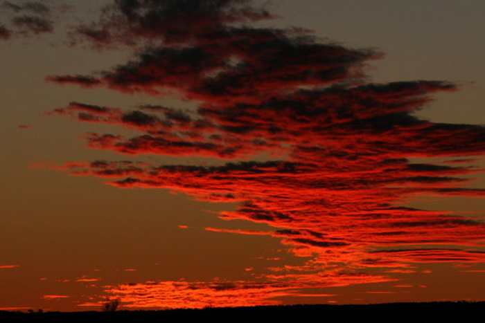 Landscape_001.JPG