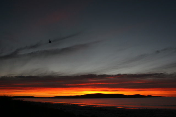 Landscape_003.JPG