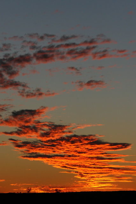 Landscape_013.JPG
