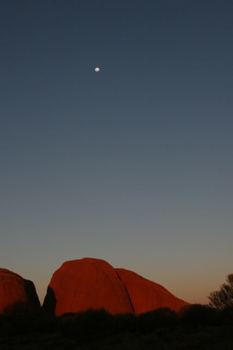 Landscape_016.JPG