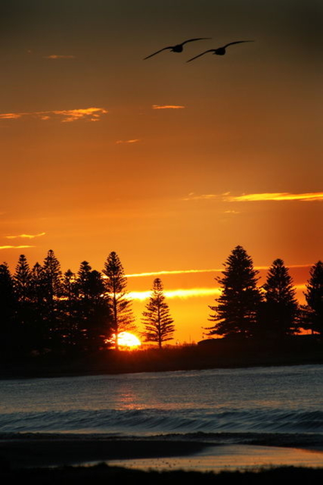Landscape_017.JPG